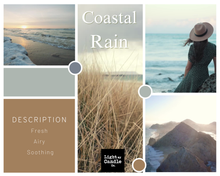 Load image into Gallery viewer, Coastal Rain Soy Candle