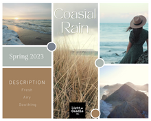 Load image into Gallery viewer, Coastal Rain Soy Wax Melts
